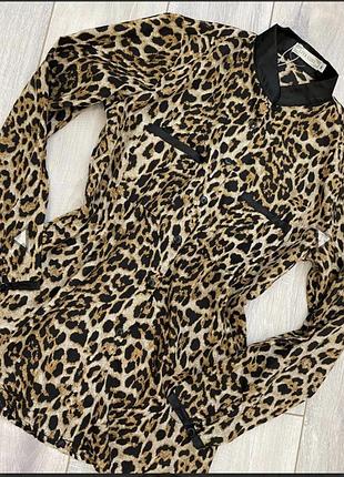 Стильна сорочка