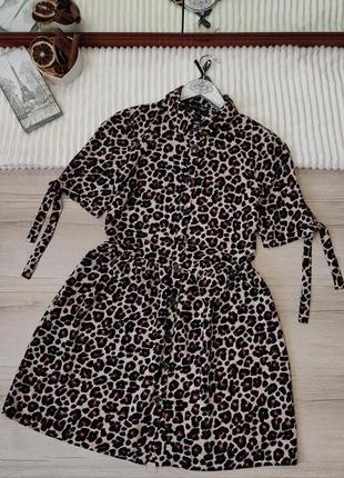 Леопардова сукня на гудзиках miss selfridge p s-m1 фото