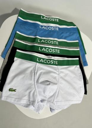 Чоловічі боксери lacoste