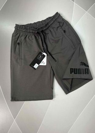 Шорти чоловічі puma