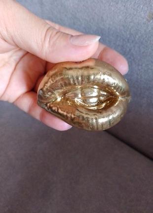 Брошка вуста