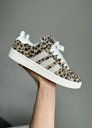 Крутые женские кроссовки adidas campus 00s beige leopard леопардовые