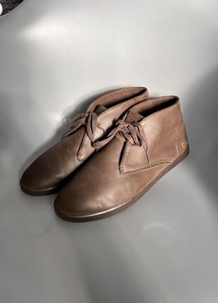 Кожаные туфли дезерты lacoste leather desert1 фото