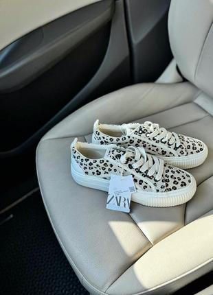 Кеди zara