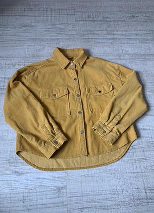 Сорочка/рубашка clockhouse