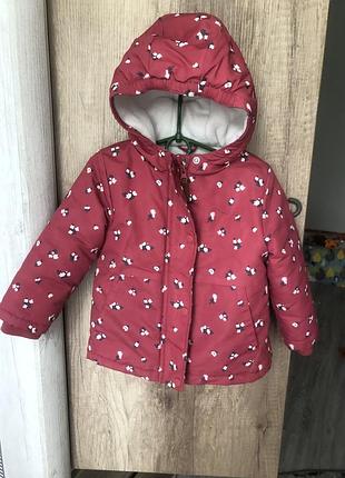 Курточка демі