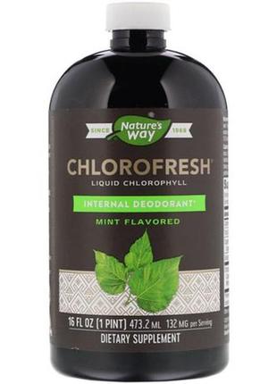 Nature's way, chlorofresh, рідкий хлорофіл, м’ята, 132 мг, 480 мл