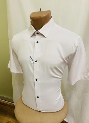 Сорочка масло palmen