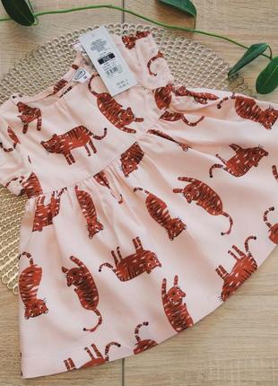 Сукня cool club