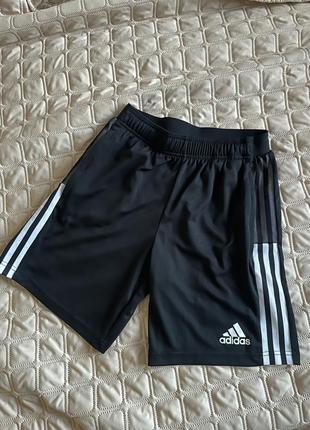 Мужские шорты adidas aeroready