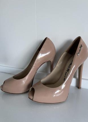 Туфлі бренду nando muzi