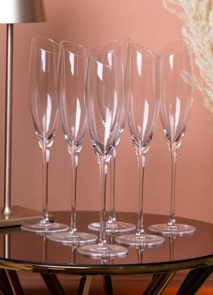 Келихи для шампанського на високій ніжці набір келихів для шампанського 6 штук1 фото