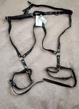 Понтупея / гартеры