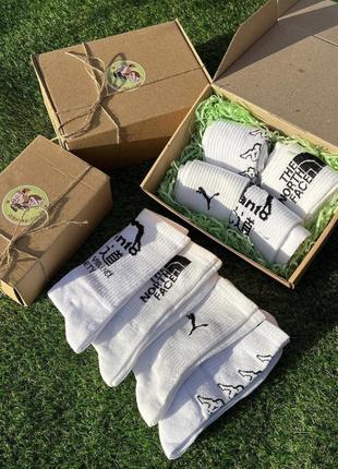Подарунковий бокс шкарпетки | носки manto tnf puma kappa