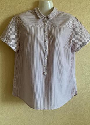 Сорочка з коротким рукавом бавовна office-accessories polo-shirts accessories mats usb Suitcases