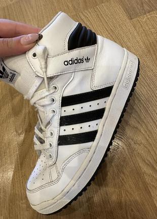 Кроссовки adidas