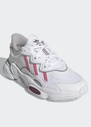 adidas ndoorschoenen speedcourt 40 512 97060495