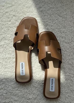 Шльопнці steve madden