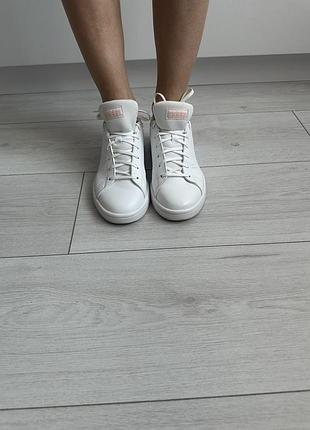 Кросівки білі adidas
