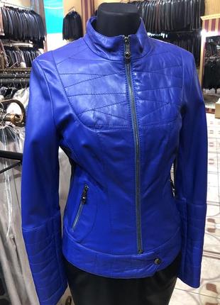 Шкірянка колір електрік