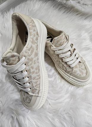 Кеди