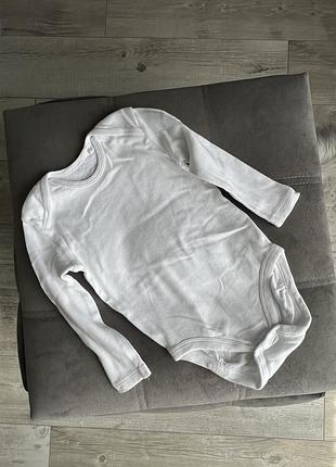 Боди боди бодик