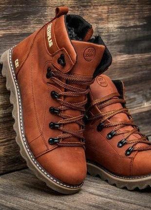 Чоловічі зимові шкіряні  черевики  cat expensive fox.