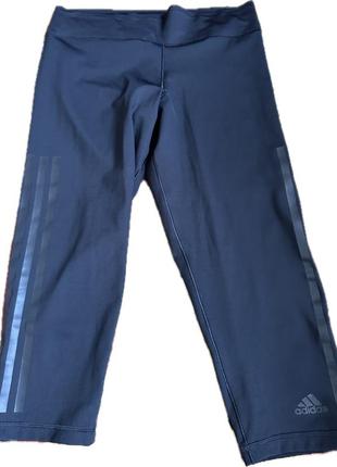 Велосипедки, лосіни, бриджі.