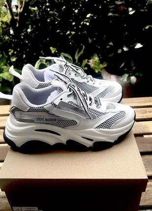Кросівки steve  madden
