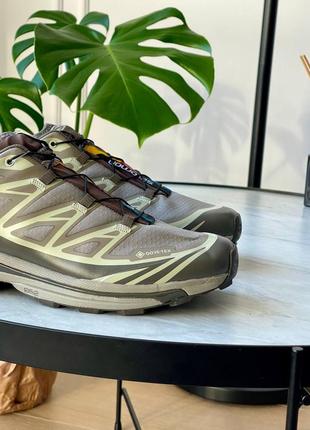 Кросівки salomon xt-6 gtx 'vintage khaki'7 фото