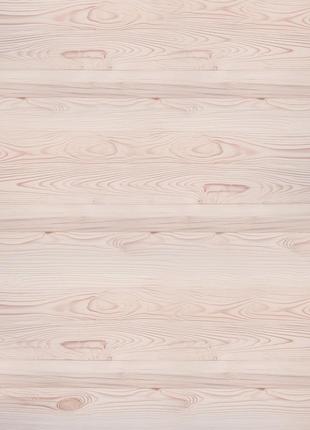 Вініловий фотофон 60х60см, frontlit 450 г/м2 №550935