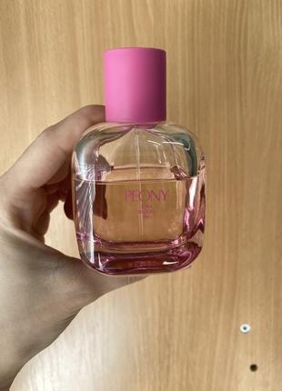 Zara peony