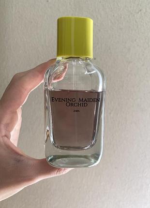 Evening maiden orchid