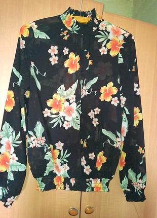 Блуза жіноча