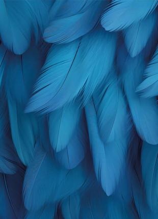 Вініловий фотофон 60х60см, frontlit 450 г/м2 №551400