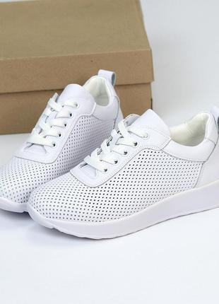Базовые кожаные белые кроссовки с перфорацией классический дизайн на шнуровке2 фото