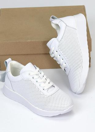 Базовые кожаные белые кроссовки с перфорацией классический дизайн на шнуровке7 фото
