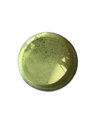 Тарелка с бортиком декор керамика greenday gd-0250-тб 25 см