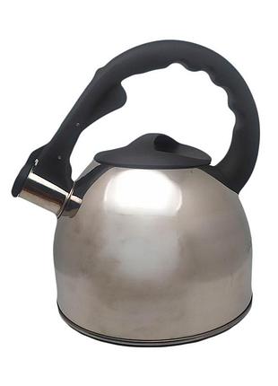 Чайник со свистком aureti au-602-1 2.5 л серебристый