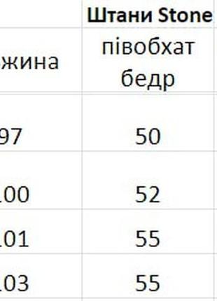 Чоловічі штани карго stone
