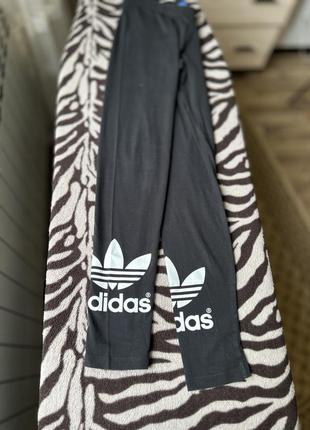 Лосіни, лосини adidas