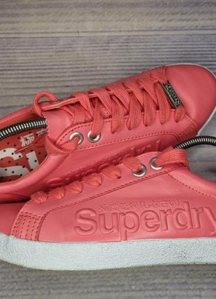 Кеды superdry1 фото