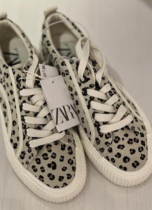 Кеди zara