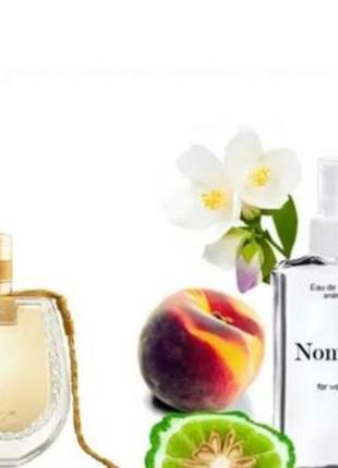 Chloé nomade 110 мл - духи для жінок (хлоя номаде, хлое номад) дуже стійка парфумерія