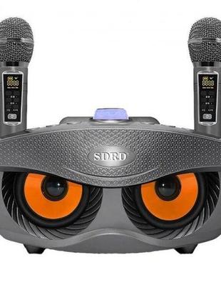 Портативна караоке система для дому з двома мікрофонами та професійним звукознімачем sdrd sd306 plus