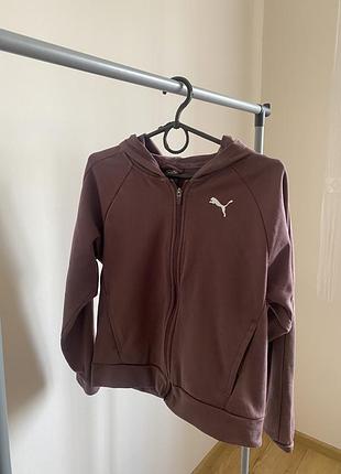 Оригинальная спортивка puma