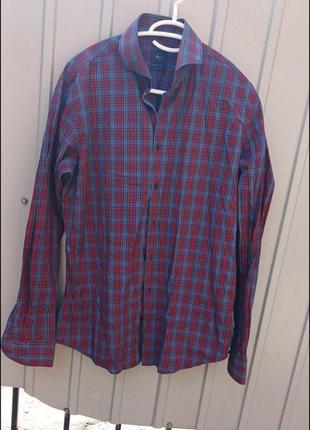 Мужская рубашка tourx.