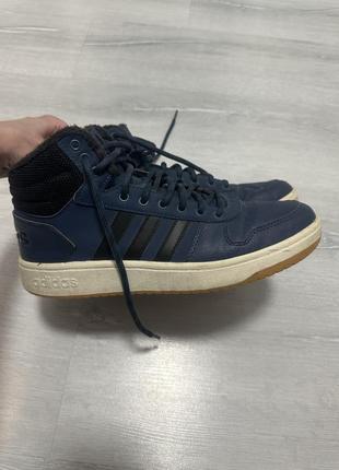 Мужские демисезонные кроссовки adidas hoops 2.0 performance gz7939