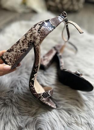 Нові босоніжки туфлі квадратний каблук у зміїний анімалістичний принт no doubt 🌸