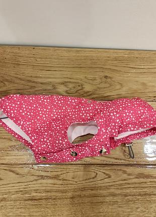 Одяг для маленької собачки або кота.